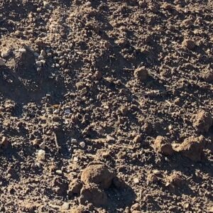 Unscreened Topsoil